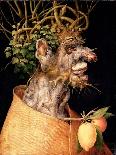 Winter-Giuseppe Arcimboldo-Giclee Print