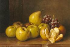 Stilll Life of Fruit-Giuseppe Falchetti-Laminated Giclee Print