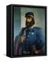 Giuseppe Garibaldi as General of Sardinian Army, 1859-Domenico Induno-Framed Stretched Canvas