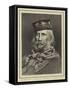 Giuseppe Garibaldi-null-Framed Stretched Canvas