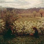 Meadow with Flowers, 1900-1903-Giuseppe Pelizza da volpedo-Giclee Print