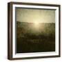 Brown Frame