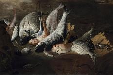 Nature morte. Poissons et crabes-Giuseppe Recco-Giclee Print