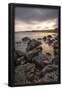 Essential Black