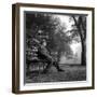 Giuseppe Ungaretti Rests Seated on a Bench in a Park-null-Framed Photographic Print
