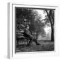 Giuseppe Ungaretti Rests Seated on a Bench in a Park-null-Framed Photographic Print