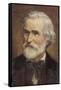 Giuseppe Verdi Italian Opera Composer-null-Framed Stretched Canvas