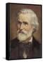 Giuseppe Verdi Italian Opera Composer-null-Framed Stretched Canvas