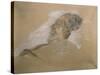 Giuseppe Verdi on His Deathbed-Adolfo Hohenstein-Stretched Canvas
