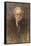 Giuseppe Verdi the Italian Opera Composer in Old Age-null-Framed Stretched Canvas