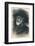 Giuseppe Verdi-null-Framed Photographic Print