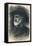 Giuseppe Verdi-null-Framed Stretched Canvas