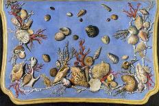 Preparatory Painting for Floor Console Decorated with Shells and Corals, 1760-Giuseppe Zocchi-Giclee Print