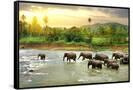 Canvas Black