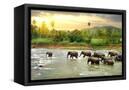 Canvas Black