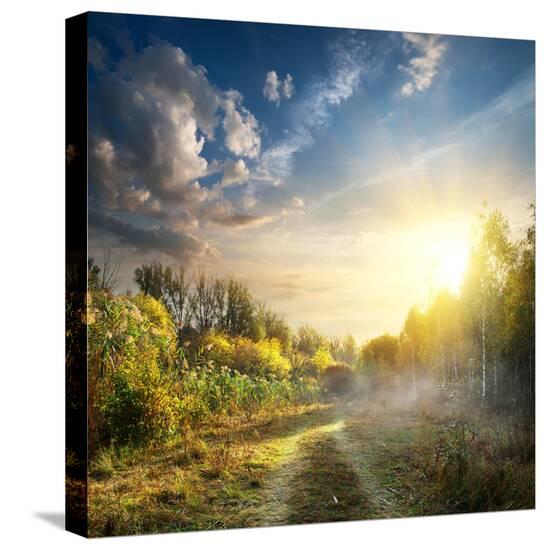 Stretched Canvas Print, , large
