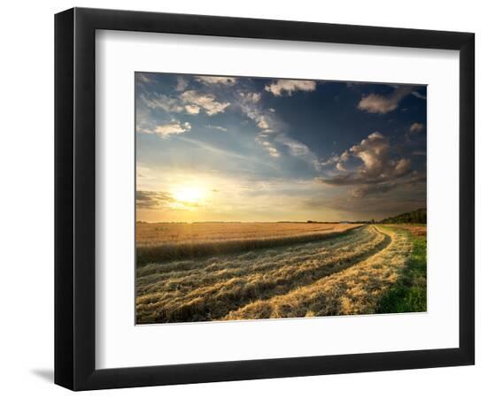Premium Photographic Print, , large