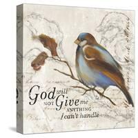 Give me Anything-Patricia Pinto-Stretched Canvas