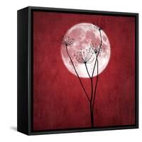 Give Me the Moon-Philippe Sainte-Laudy-Framed Stretched Canvas