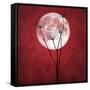 Give Me the Moon-Philippe Sainte-Laudy-Framed Stretched Canvas