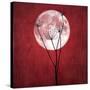 Give Me the Moon-Philippe Sainte-Laudy-Stretched Canvas