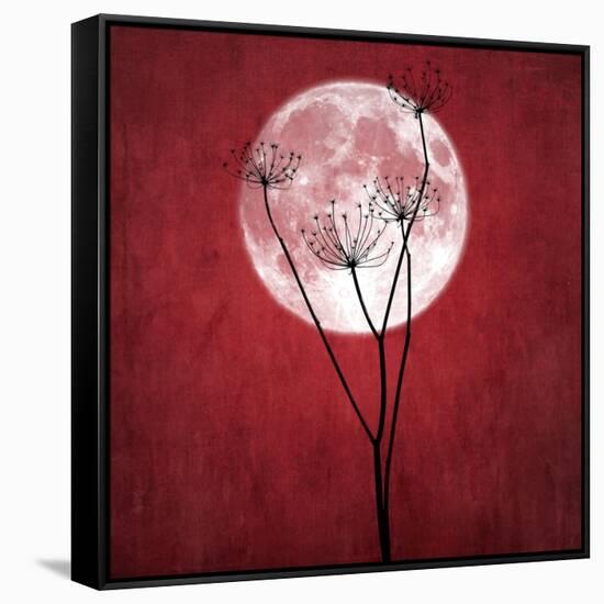 Give Me the Moon-Philippe Sainte-Laudy-Framed Stretched Canvas