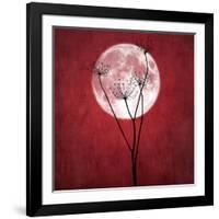 Give Me the Moon-Philippe Sainte-Laudy-Framed Photographic Print