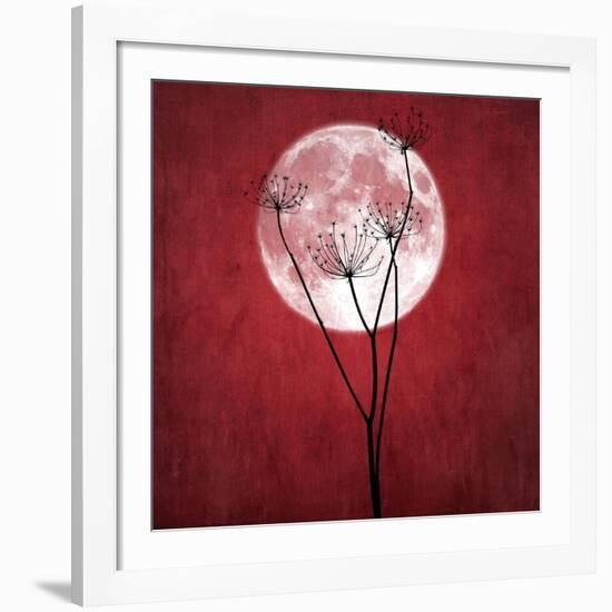 Give Me the Moon-Philippe Sainte-Laudy-Framed Giclee Print