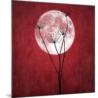 Give Me the Moon-Philippe Sainte-Laudy-Mounted Giclee Print
