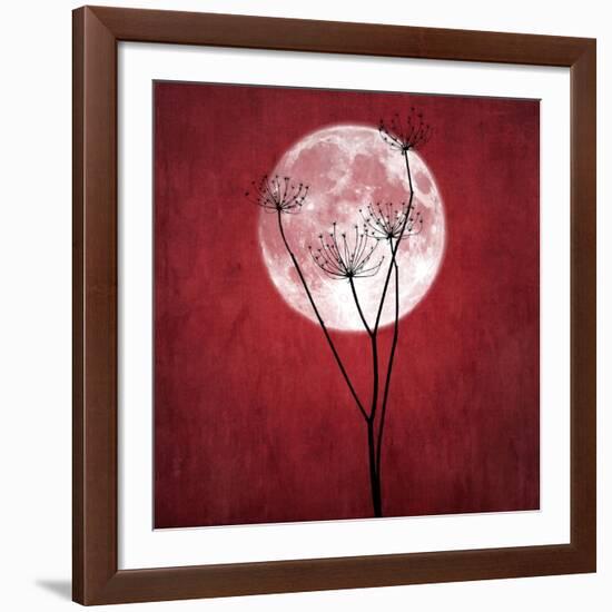 Give Me the Moon-Philippe Sainte-Laudy-Framed Giclee Print