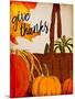 Give Thanks Basket-Kimberly Allen-Mounted Art Print