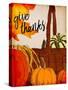 Give Thanks Basket-Kimberly Allen-Stretched Canvas