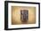 Give-enterlinedesign-Framed Photographic Print