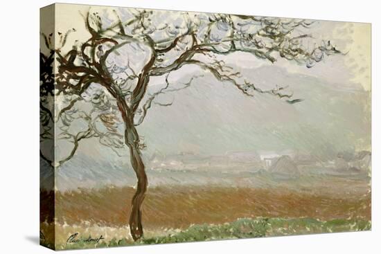 Giverny Countryside-Claude Monet-Stretched Canvas