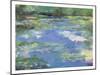 Giverny, Early Autumn-Heide Coutu-Mounted Art Print