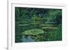 Giverny II-Derek Harris-Framed Giclee Print