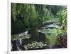 Giverny Pond-Sarah Butcher-Framed Art Print