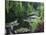 Giverny Pond-Sarah Butcher-Mounted Art Print