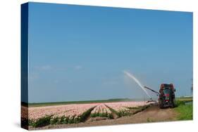 Giving the Tulips Water by a Tractor in the Fields-Ivonnewierink-Stretched Canvas