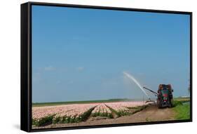 Giving the Tulips Water by a Tractor in the Fields-Ivonnewierink-Framed Stretched Canvas