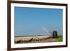 Giving the Tulips Water by a Tractor in the Fields-Ivonnewierink-Framed Photographic Print