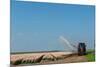 Giving the Tulips Water by a Tractor in the Fields-Ivonnewierink-Mounted Photographic Print