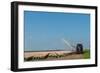Giving the Tulips Water by a Tractor in the Fields-Ivonnewierink-Framed Photographic Print