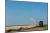 Giving the Tulips Water by a Tractor in the Fields-Ivonnewierink-Mounted Photographic Print