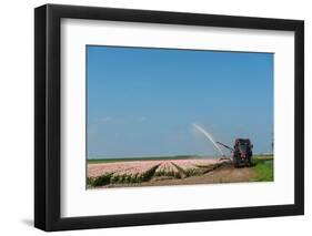 Giving the Tulips Water by a Tractor in the Fields-Ivonnewierink-Framed Photographic Print