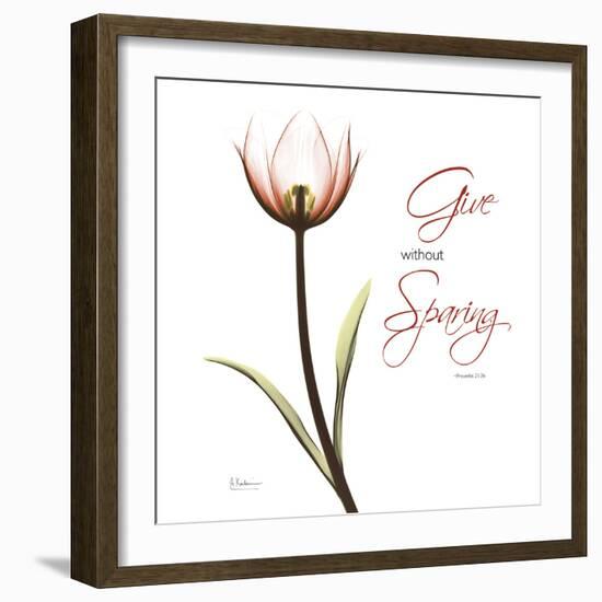 Giving Tulip C69-Albert Koetsier-Framed Photographic Print