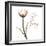 Giving Tulip C69-Albert Koetsier-Framed Photographic Print