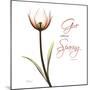 Giving Tulip C69-Albert Koetsier-Mounted Photographic Print