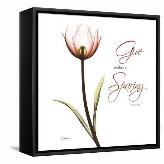 Giving Tulip C69-Albert Koetsier-Framed Stretched Canvas