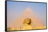 Giza, Cairo, Egypt. The Great Sphinx and the Pyramid of Khafre.-Emily Wilson-Framed Stretched Canvas